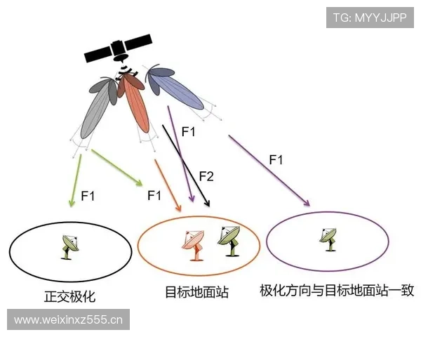 篮球比赛中干扰发球的判定标准及常见争议分析